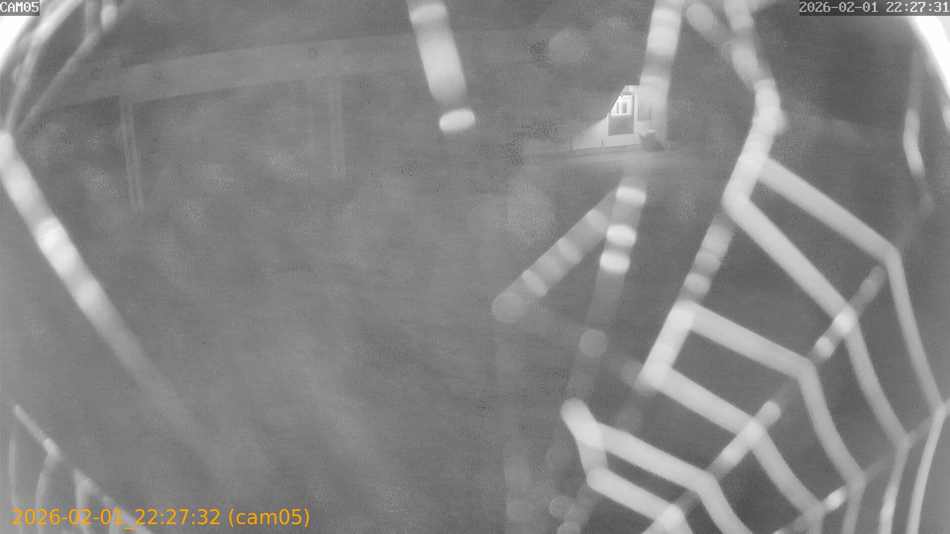 thumbnail_20260201222732