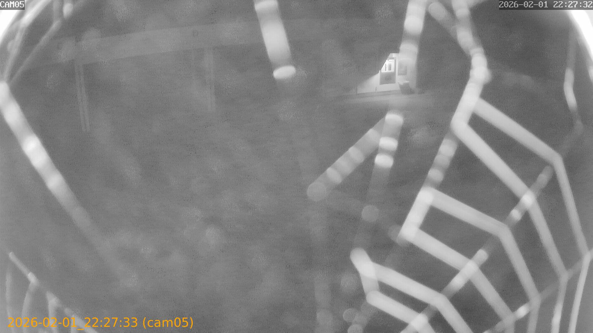 thumbnail_20260201222733