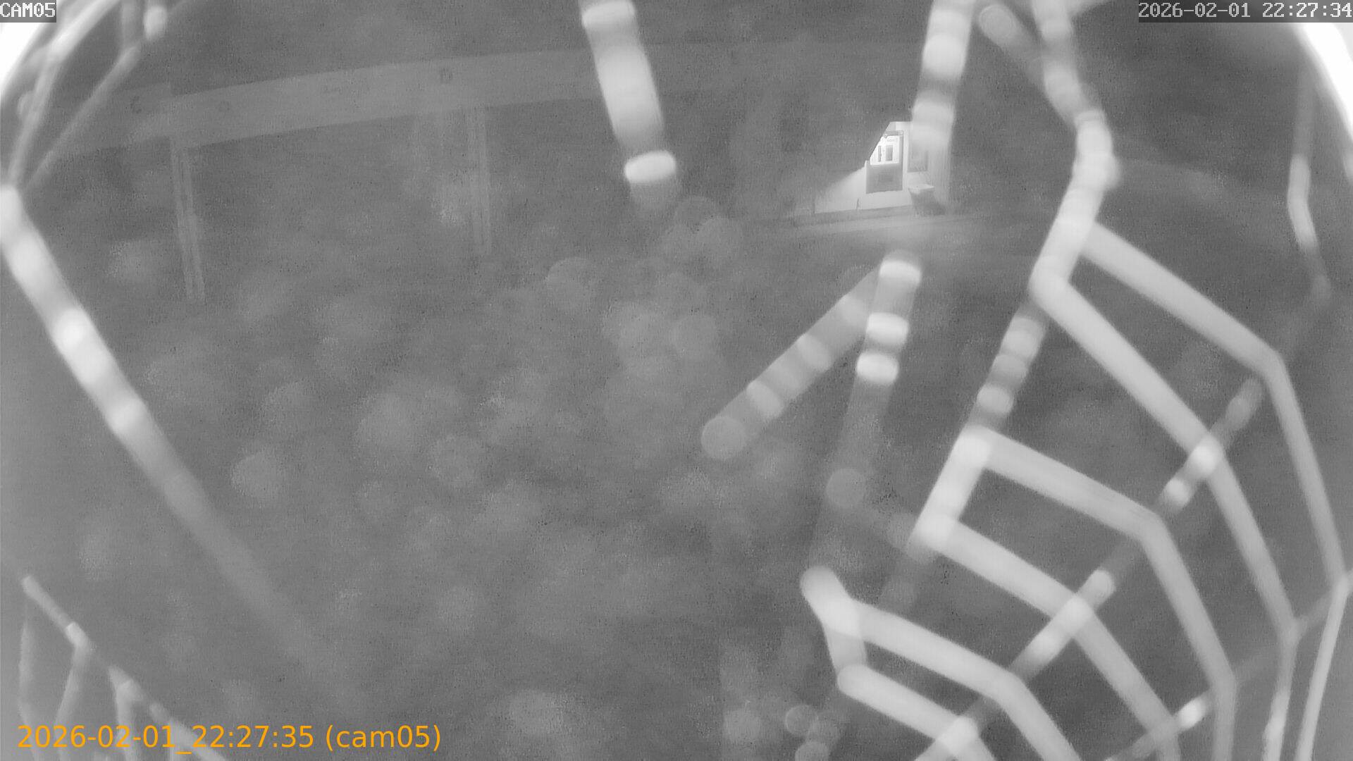 thumbnail_20260201222735