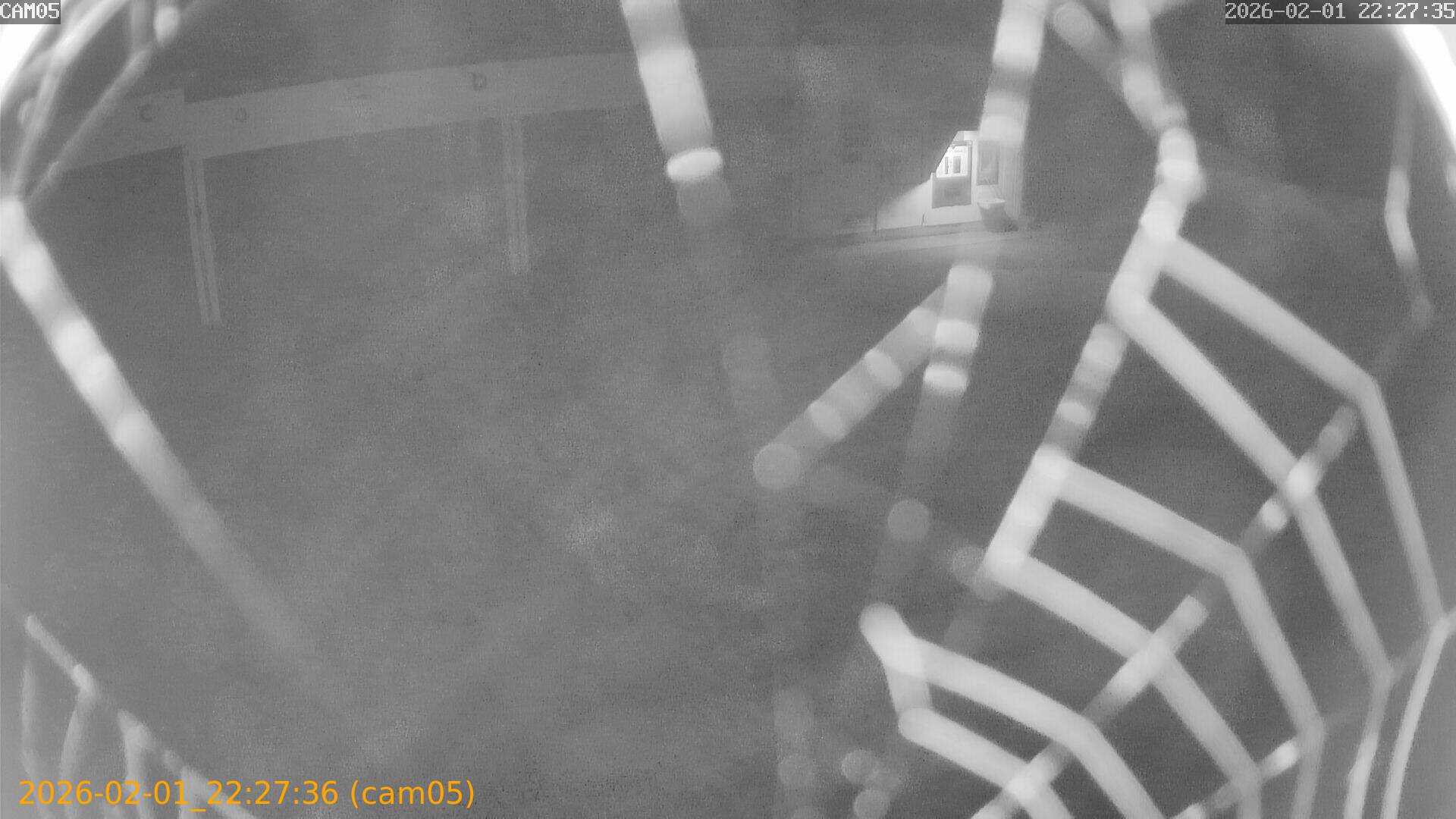 thumbnail_20260201222736