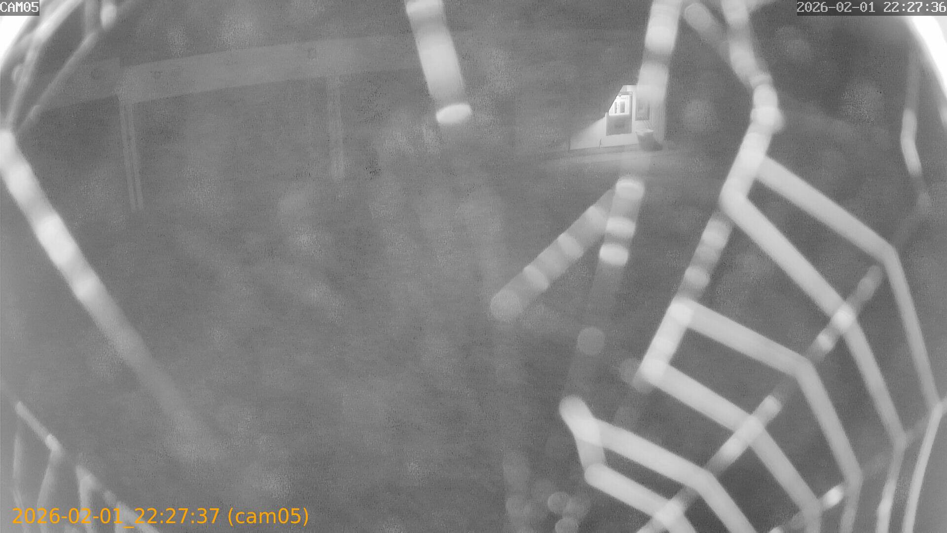 thumbnail_20260201222737