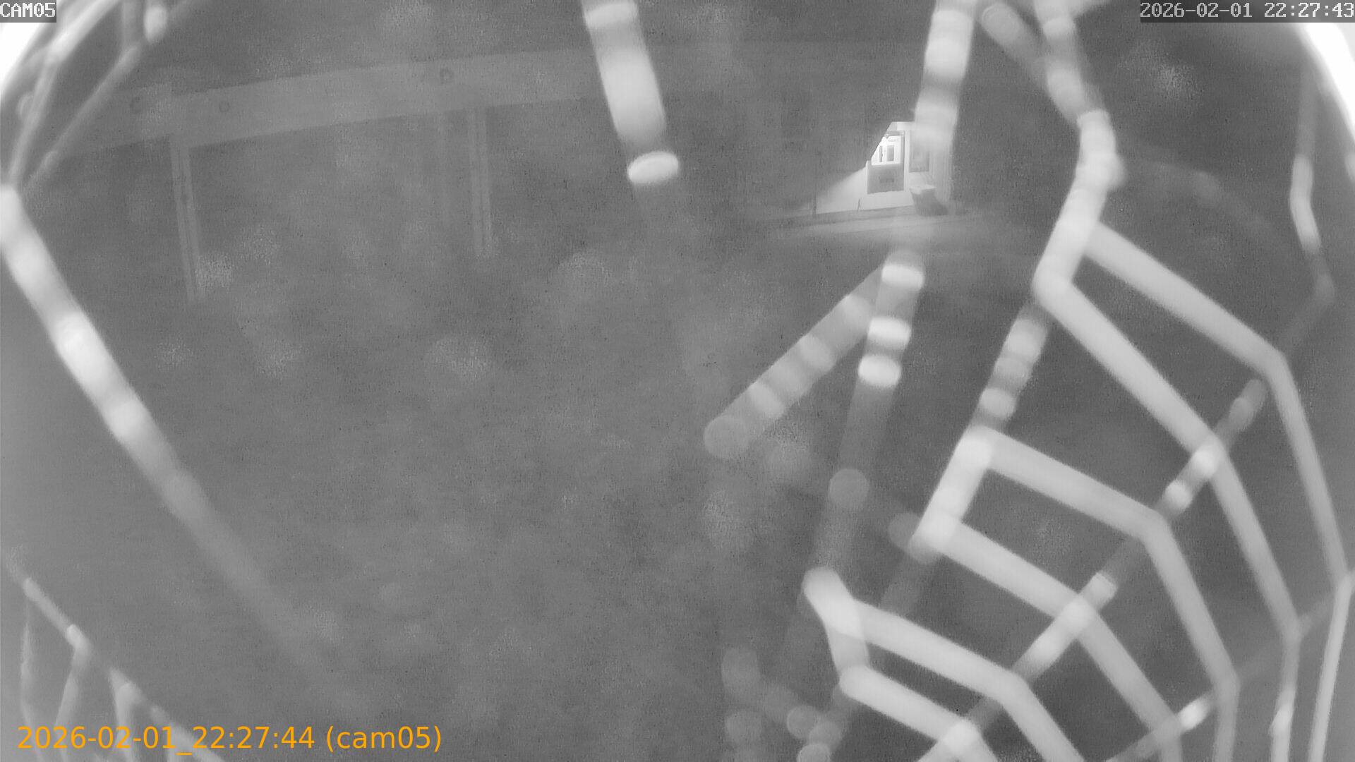 thumbnail_20260201222744