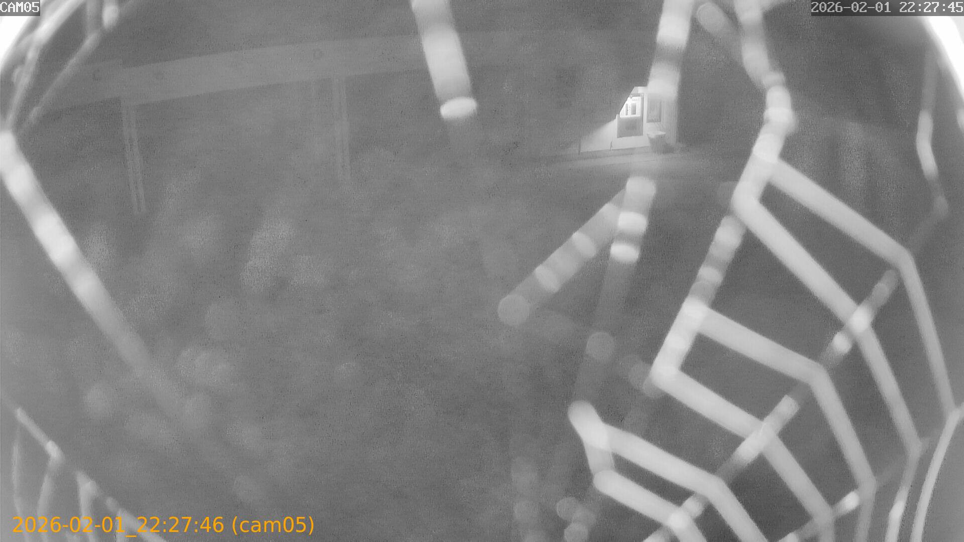 thumbnail_20260201222746