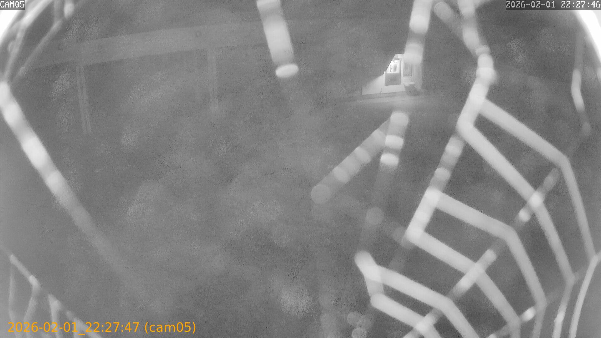 thumbnail_20260201222747