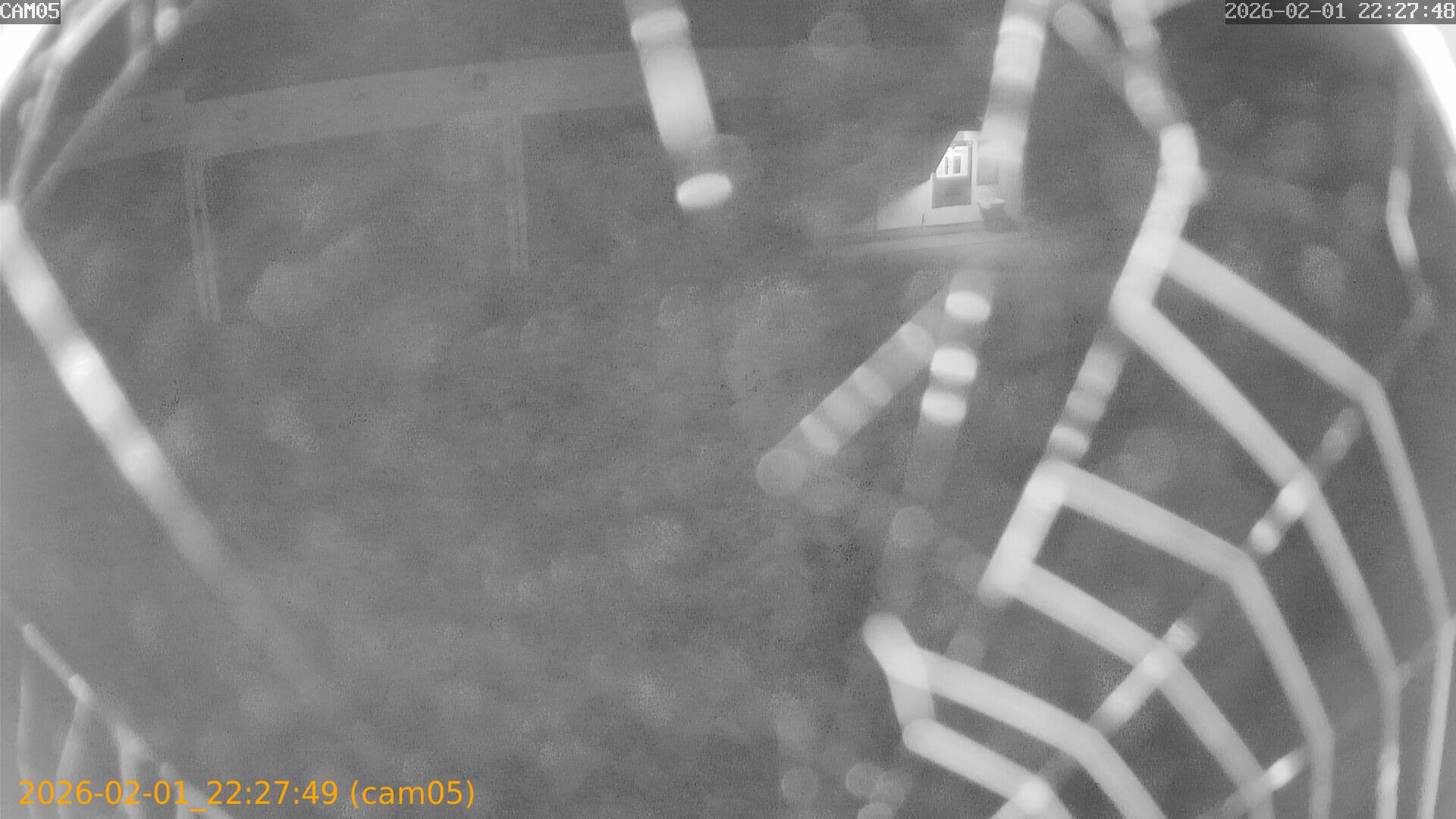 thumbnail_20260201222749