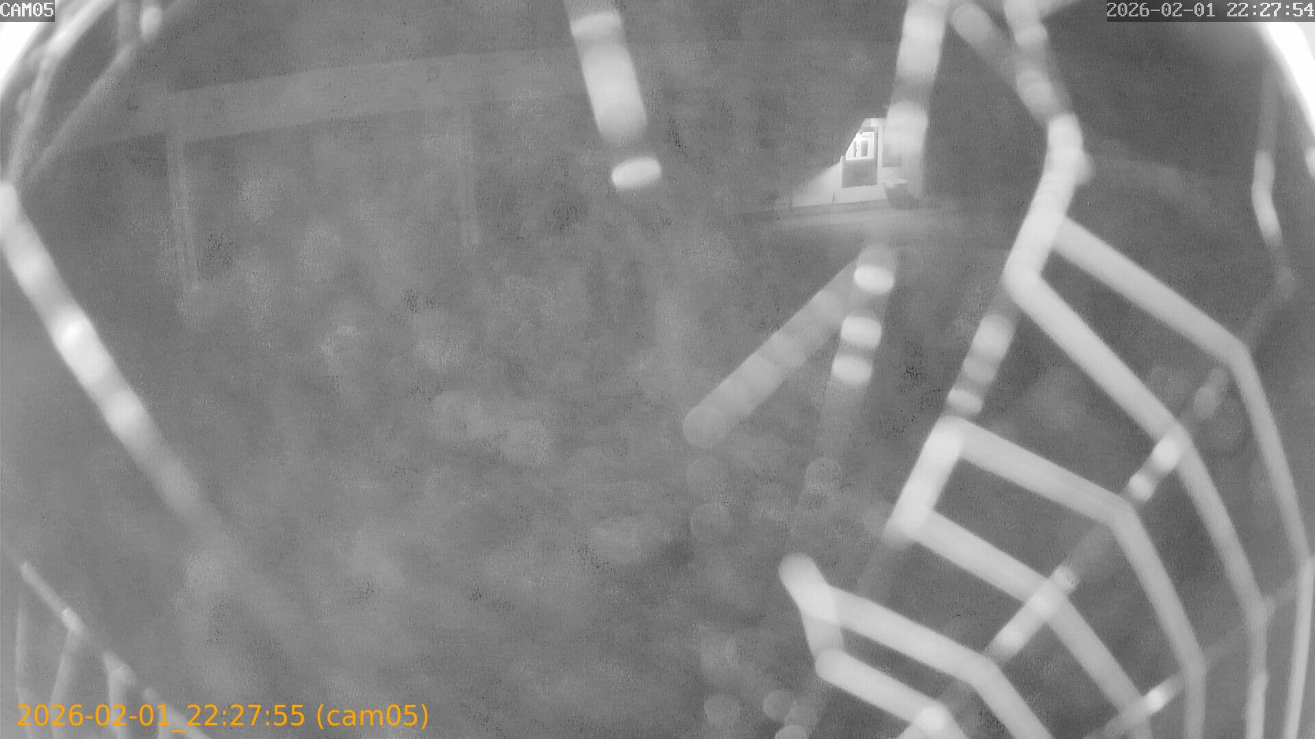 thumbnail_20260201222755