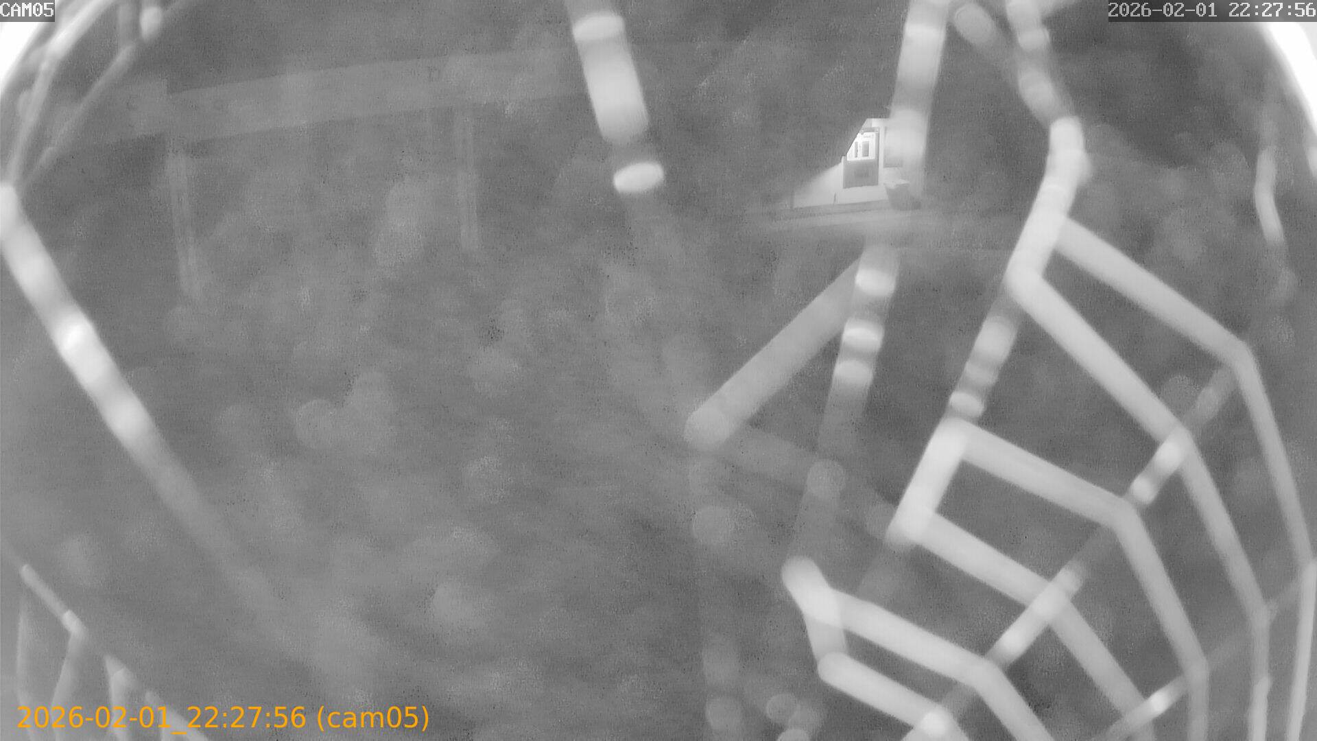 thumbnail_20260201222756