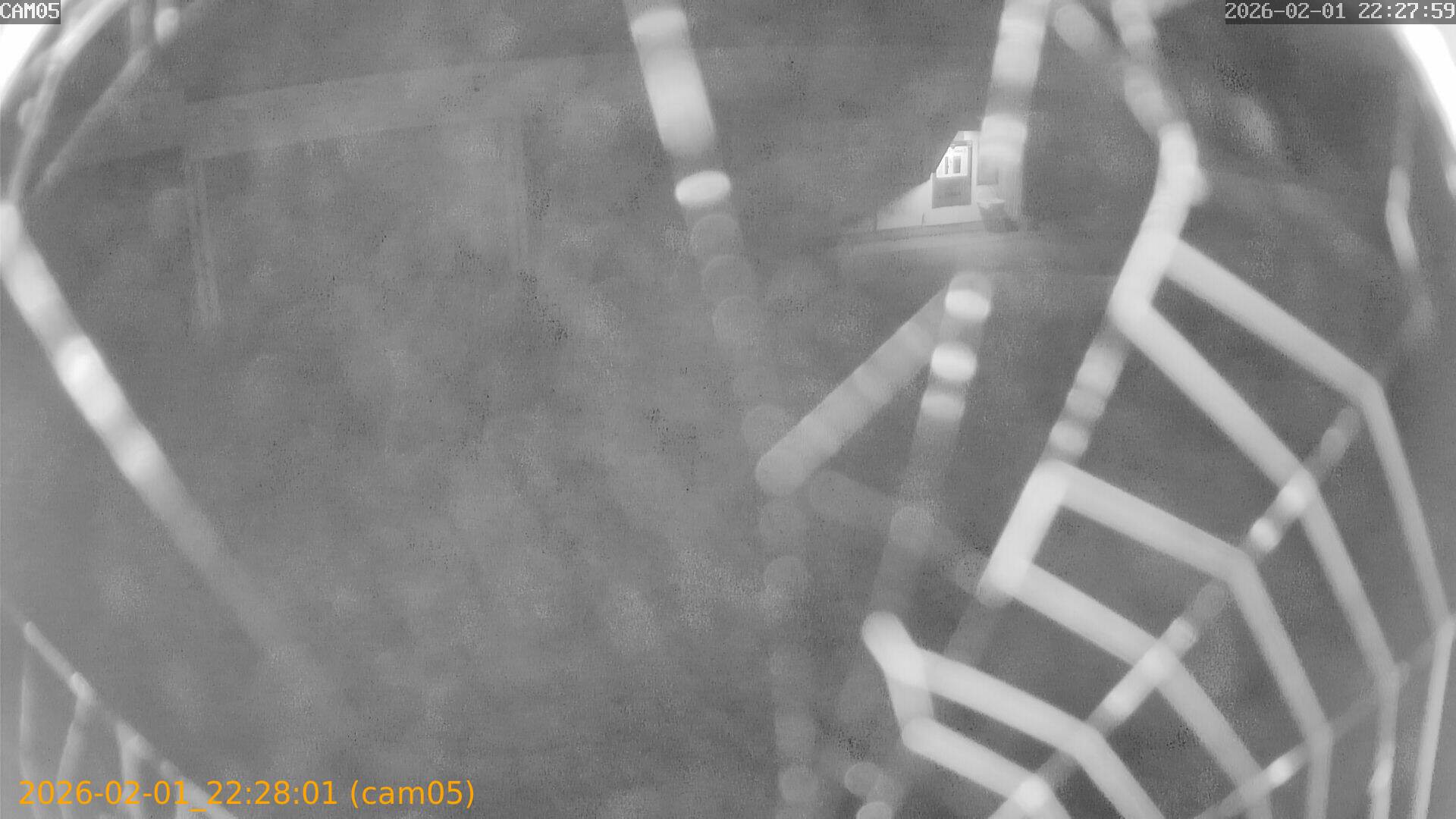 thumbnail_20260201222801