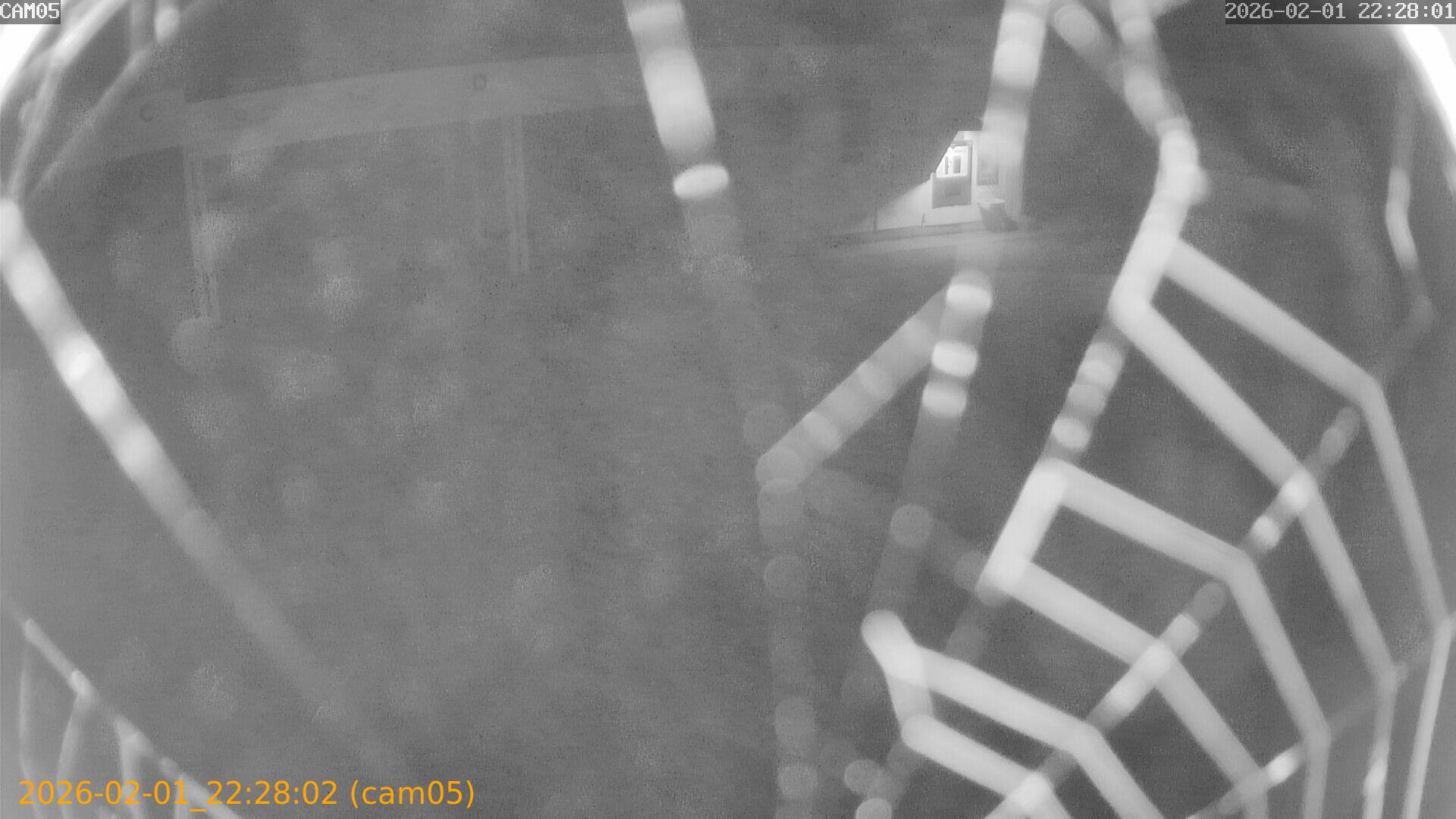 thumbnail_20260201222802