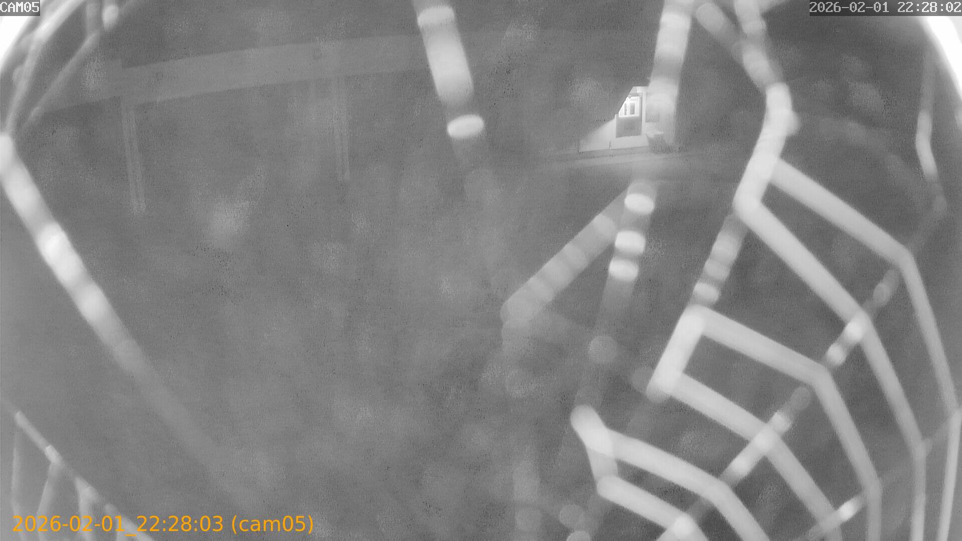 thumbnail_20260201222803