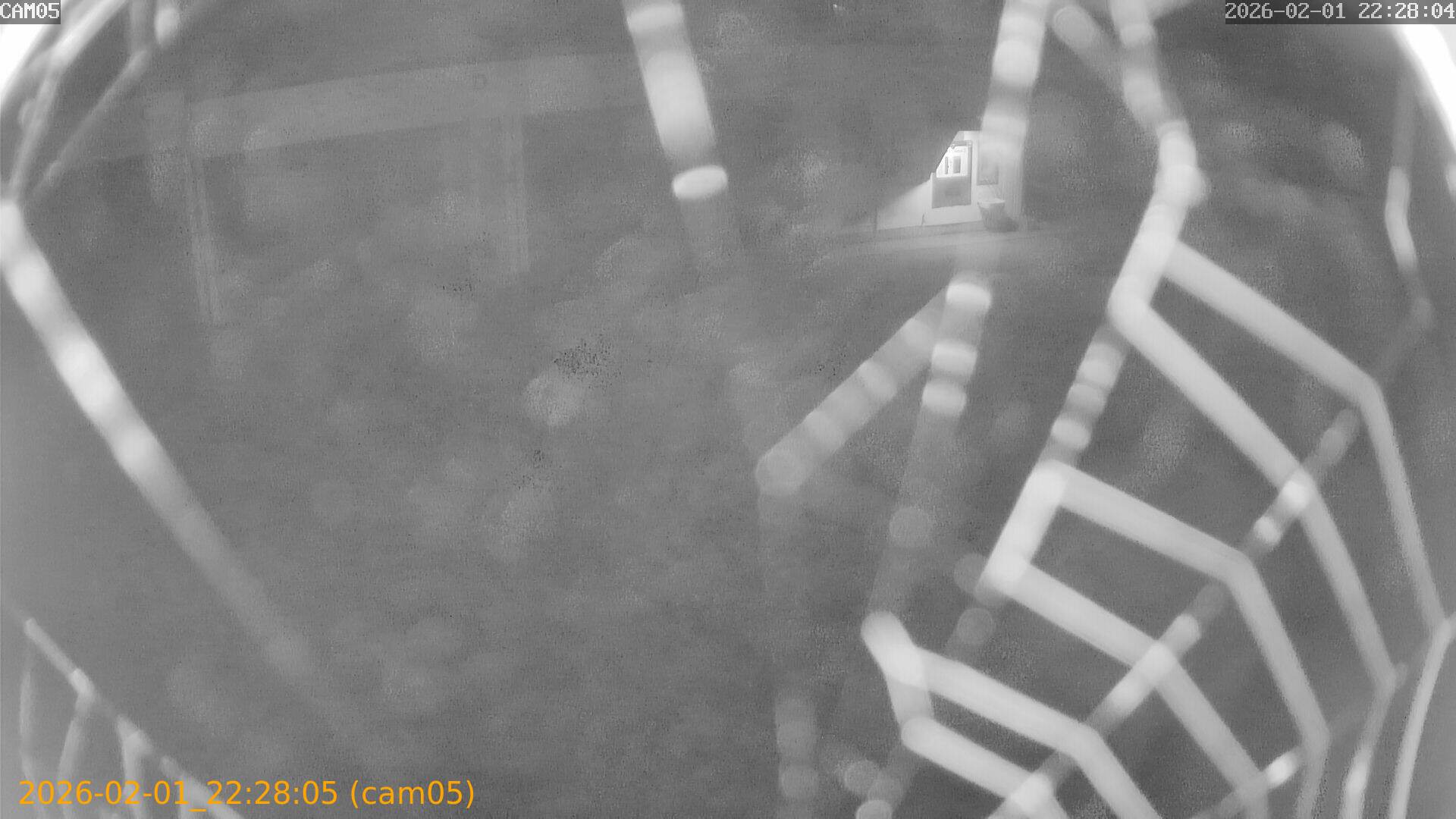 thumbnail_20260201222805