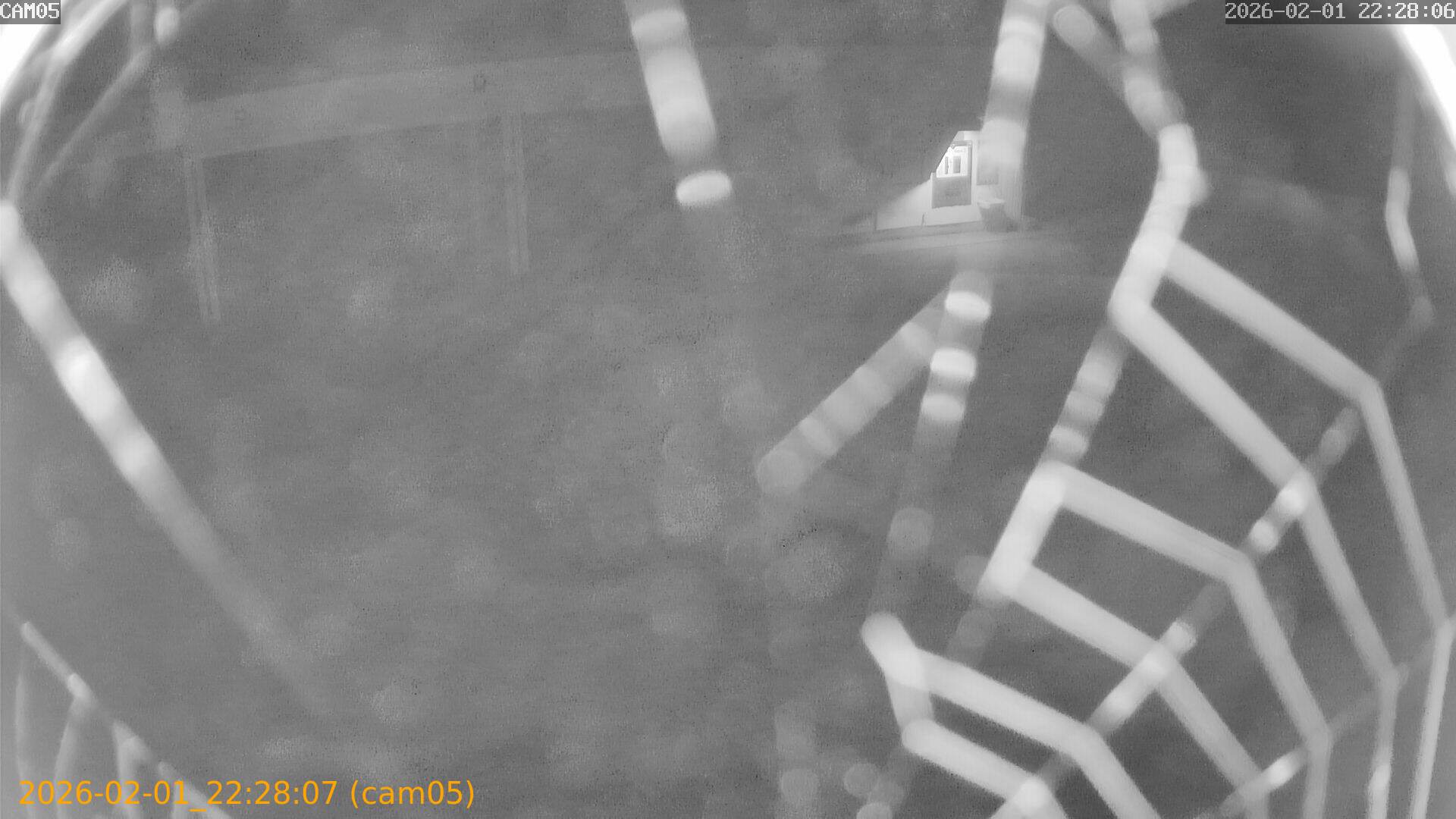 thumbnail_20260201222807