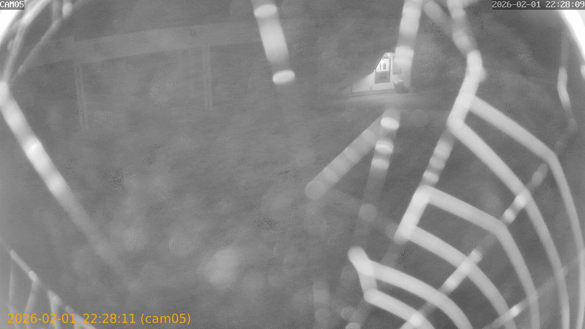 thumbnail_20260201222811