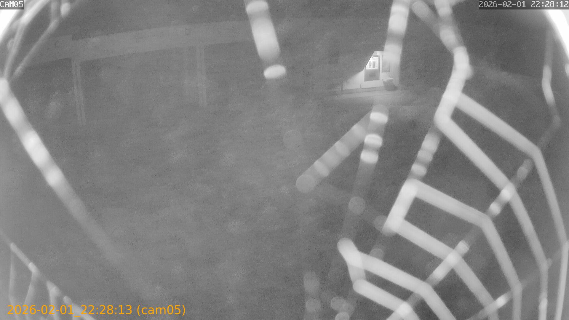 thumbnail_20260201222813