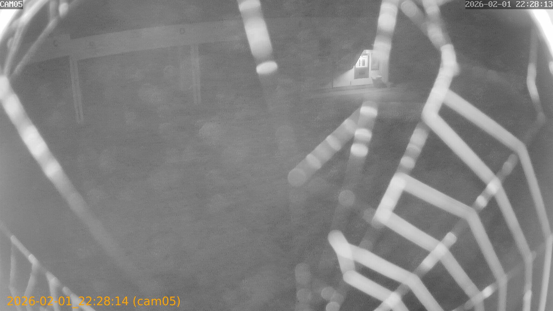 thumbnail_20260201222814