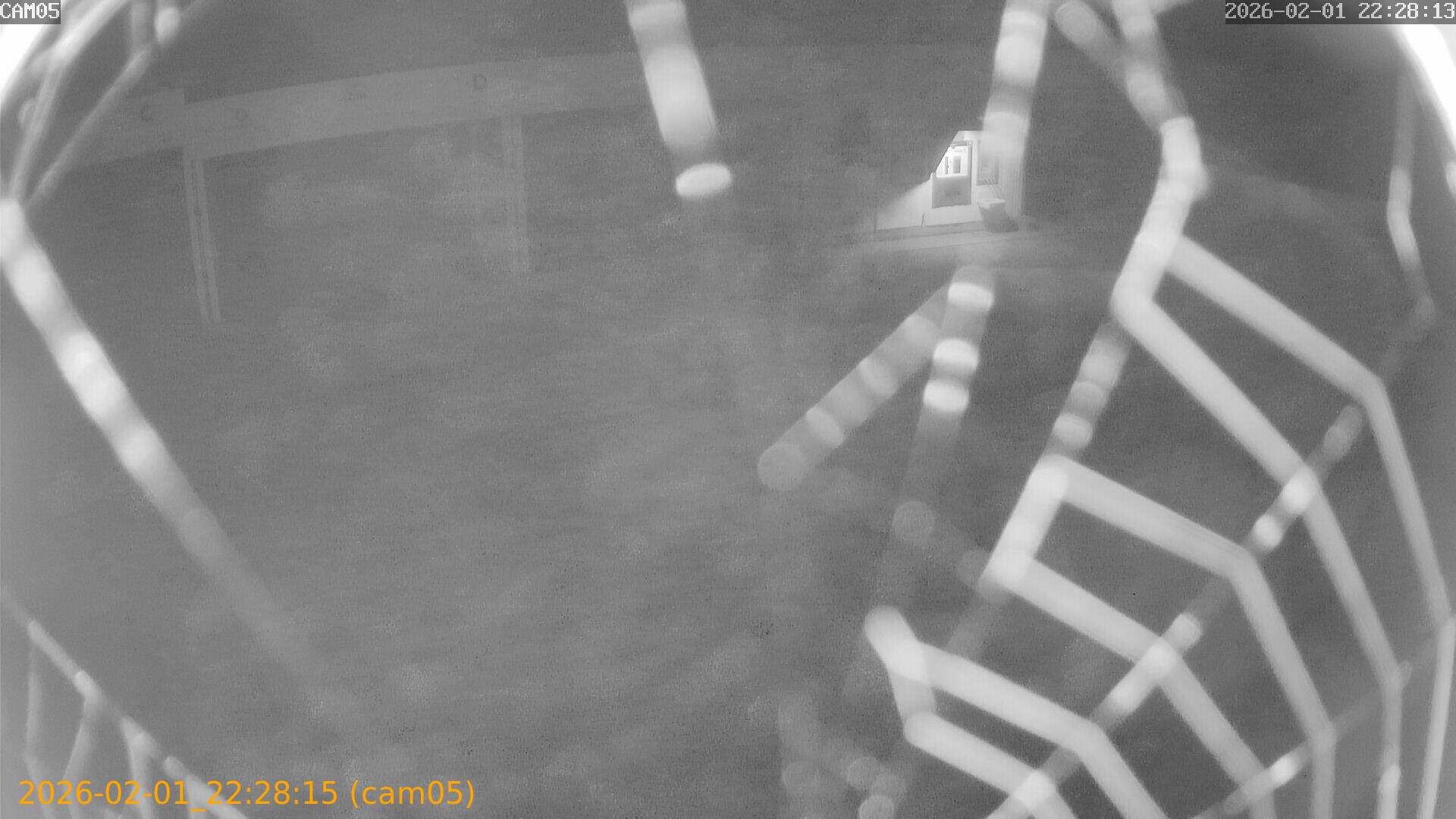 thumbnail_20260201222815