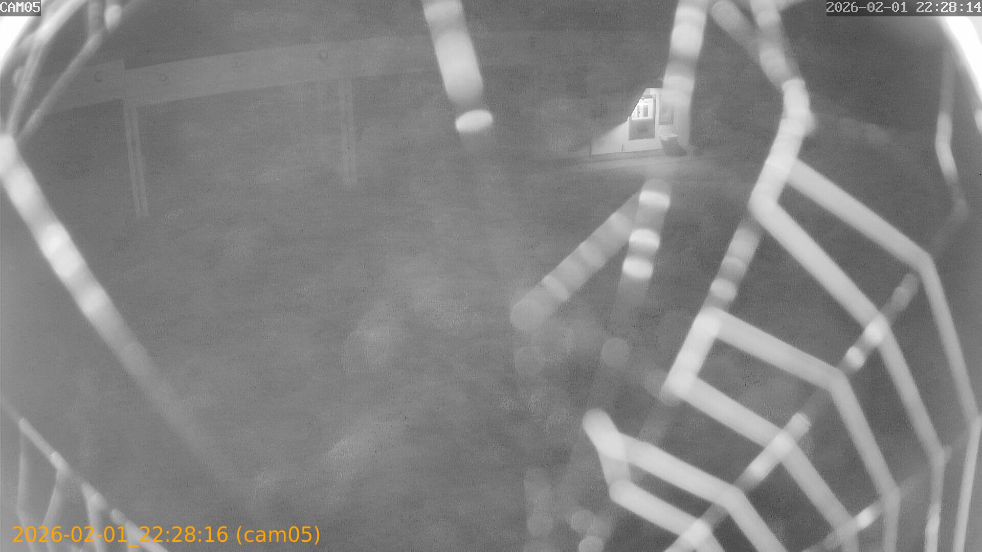 thumbnail_20260201222816