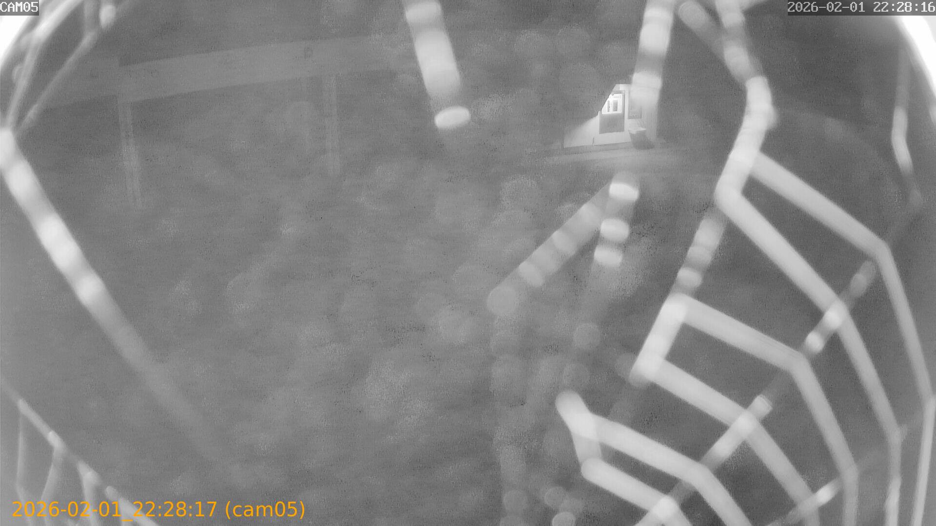 thumbnail_20260201222817