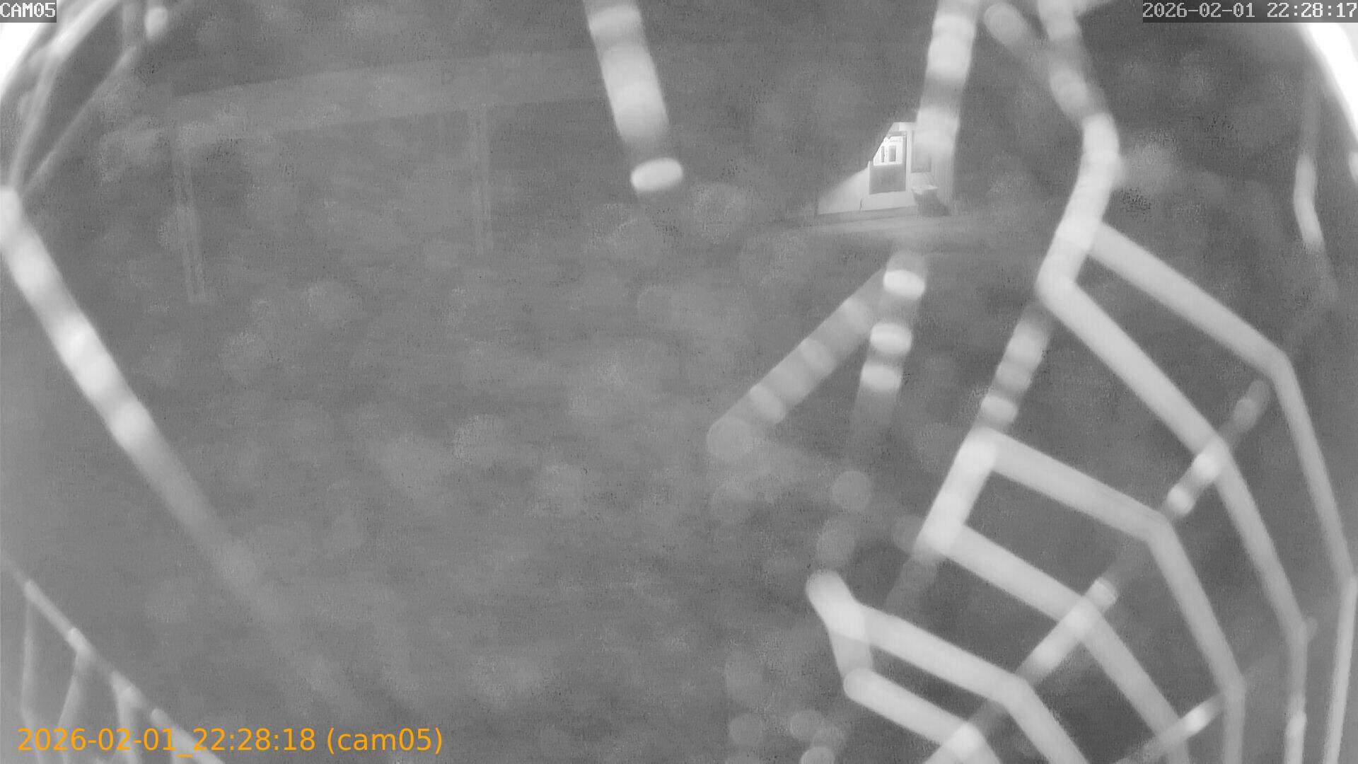 thumbnail_20260201222818