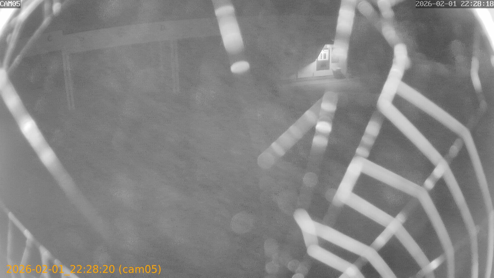 thumbnail_20260201222820