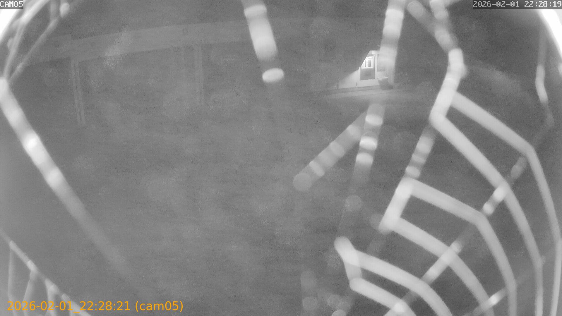 thumbnail_20260201222821