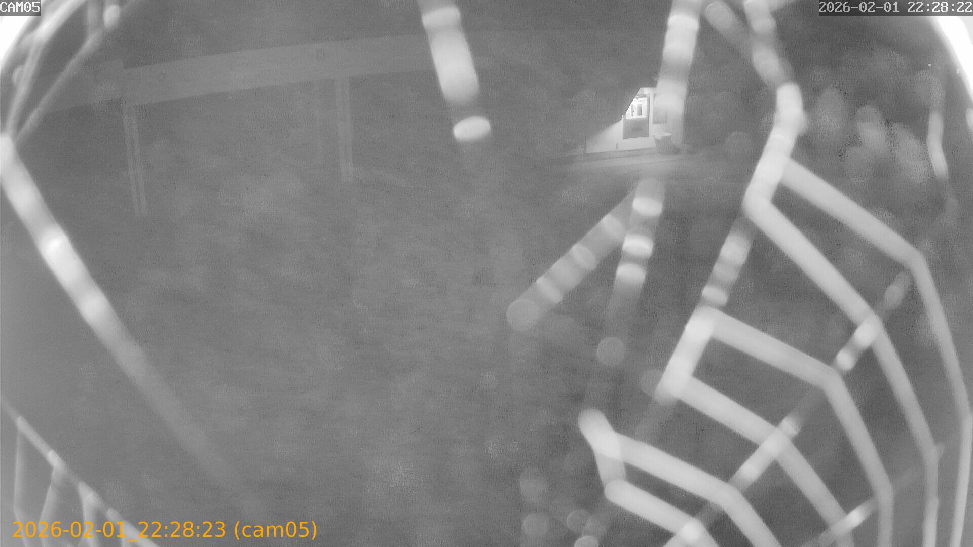 thumbnail_20260201222823