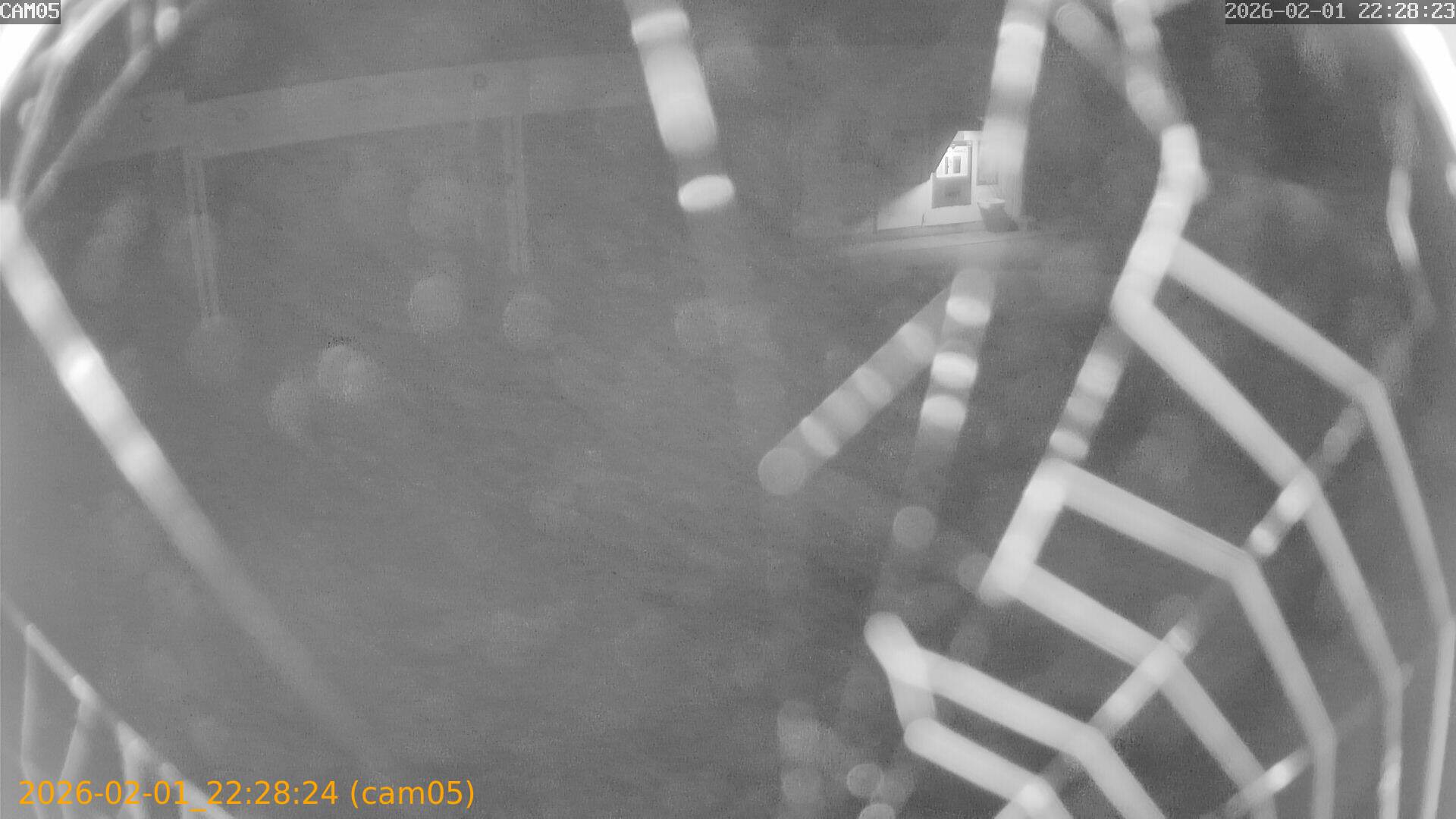 thumbnail_20260201222824