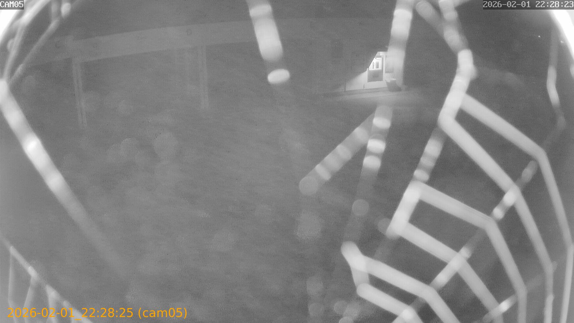 thumbnail_20260201222825