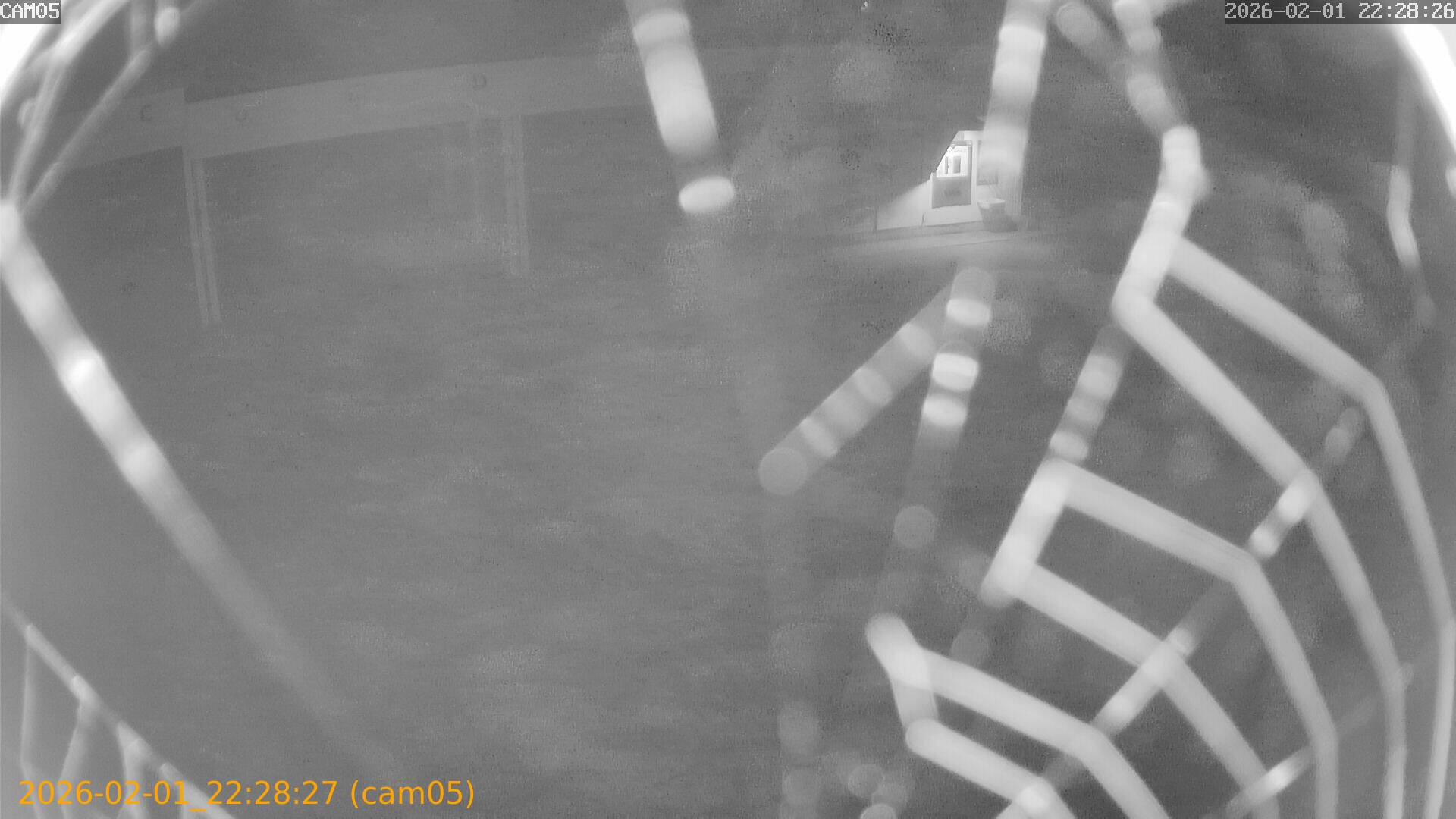 thumbnail_20260201222827