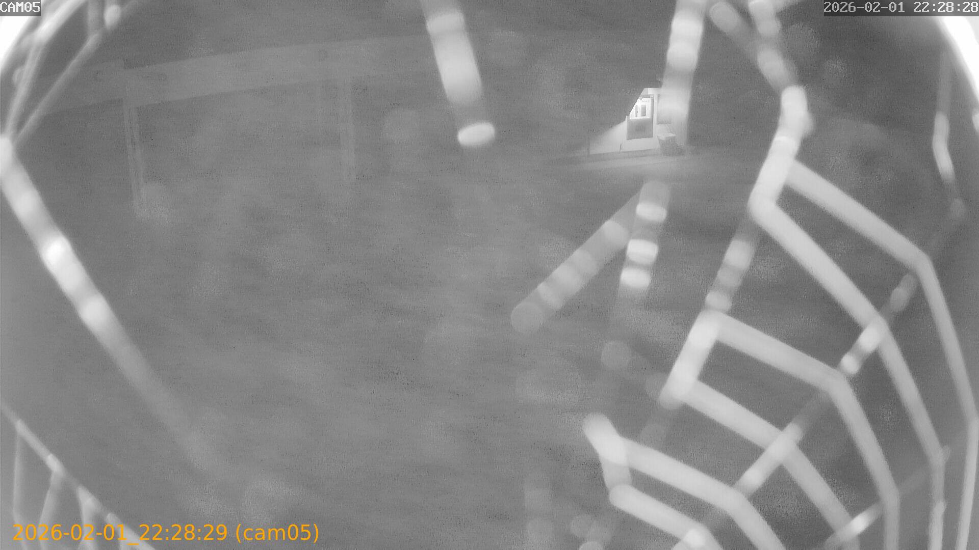 thumbnail_20260201222829