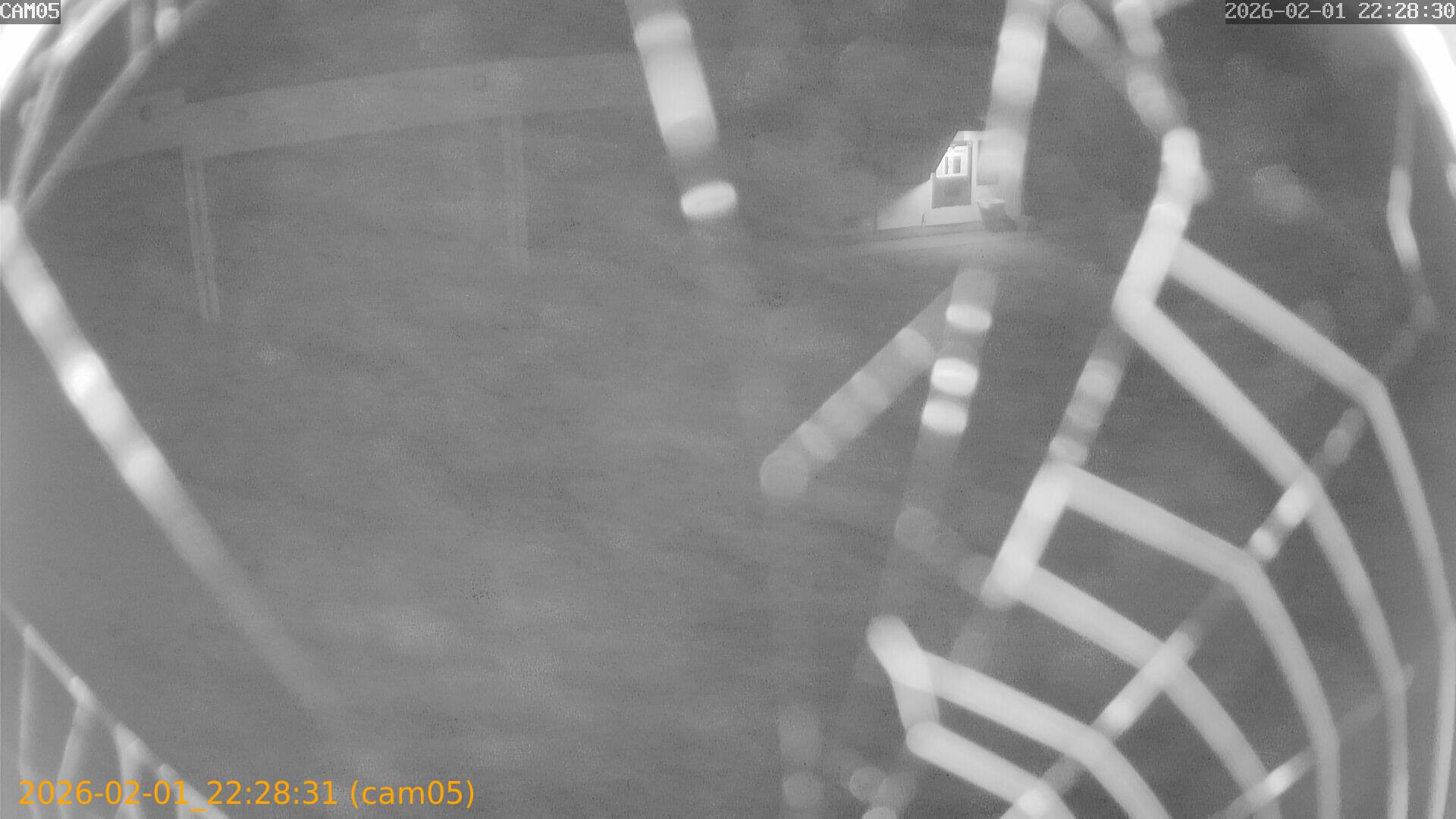 thumbnail_20260201222831