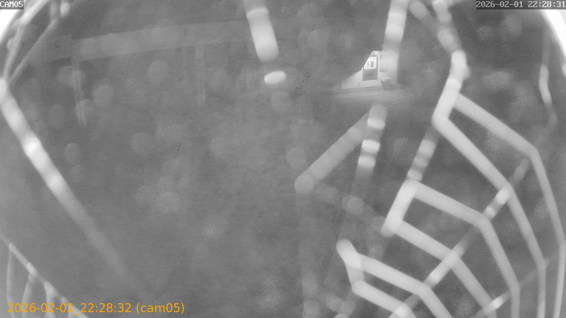 thumbnail_20260201222832