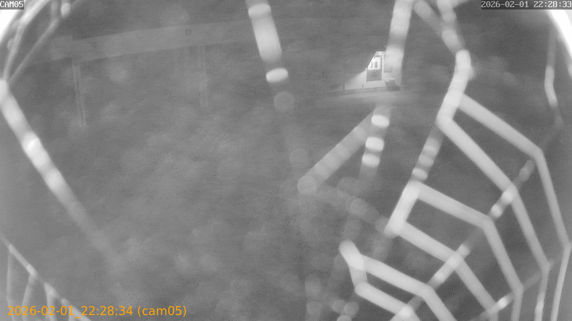 thumbnail_20260201222834