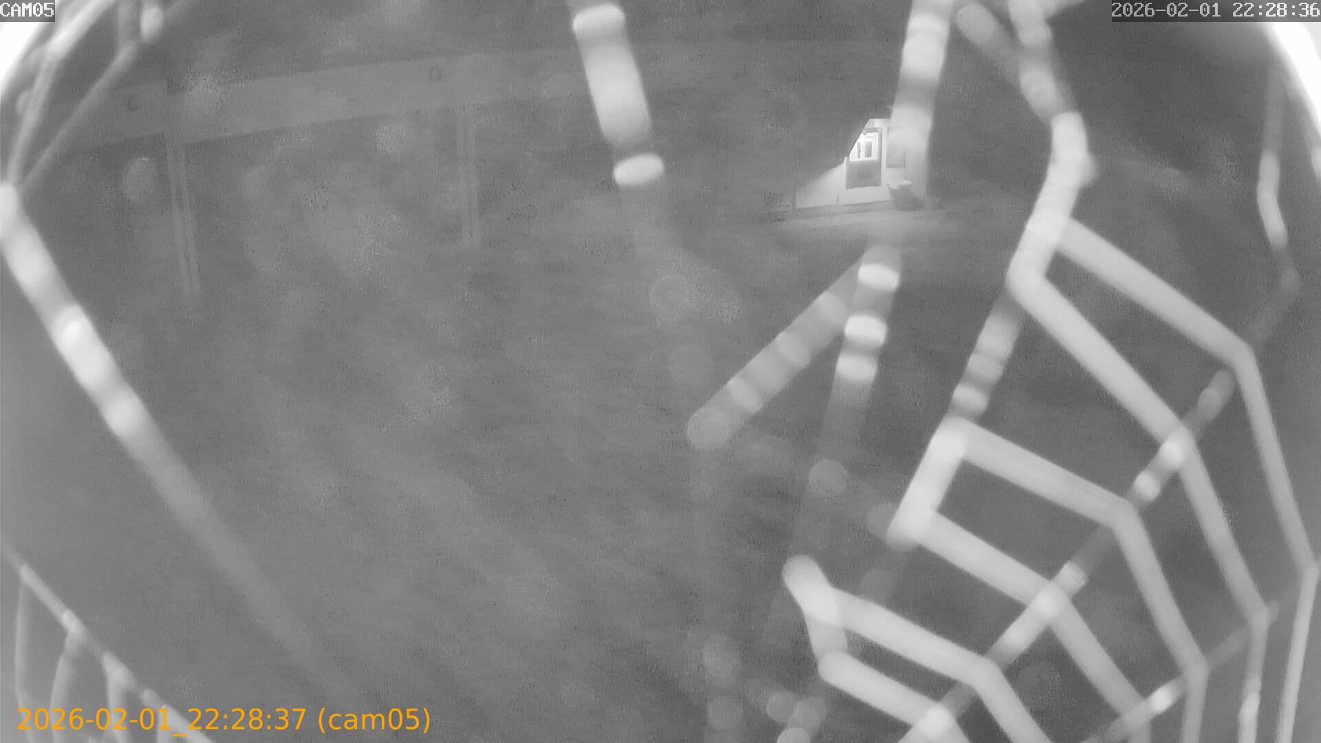 thumbnail_20260201222837