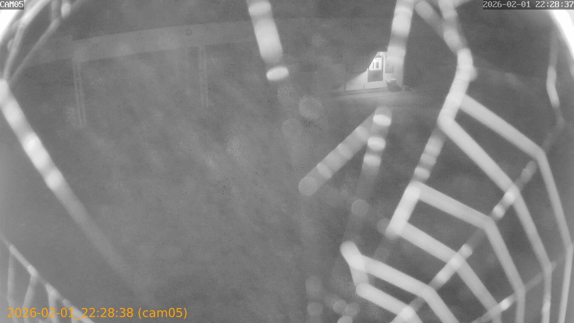 thumbnail_20260201222838