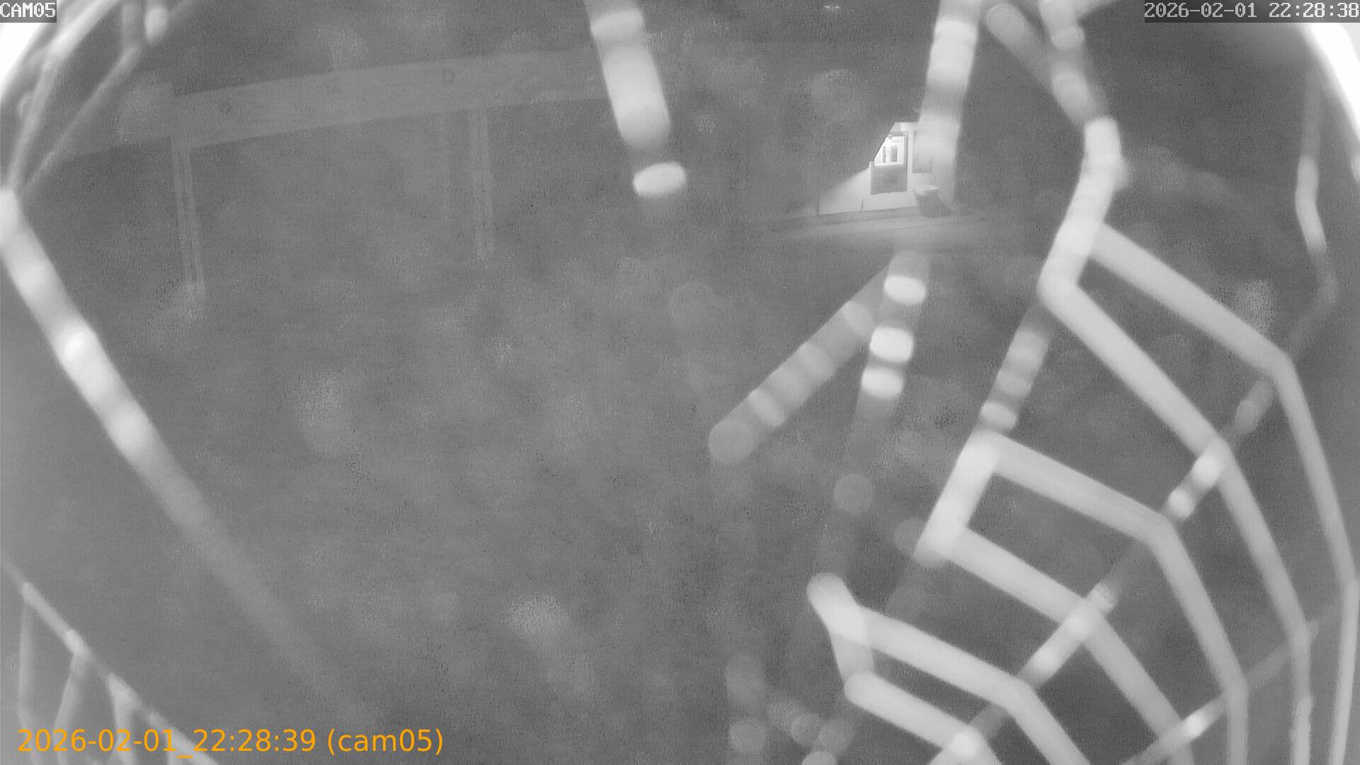 thumbnail_20260201222839