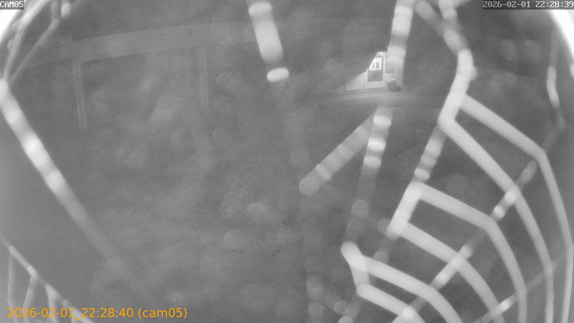 thumbnail_20260201222840