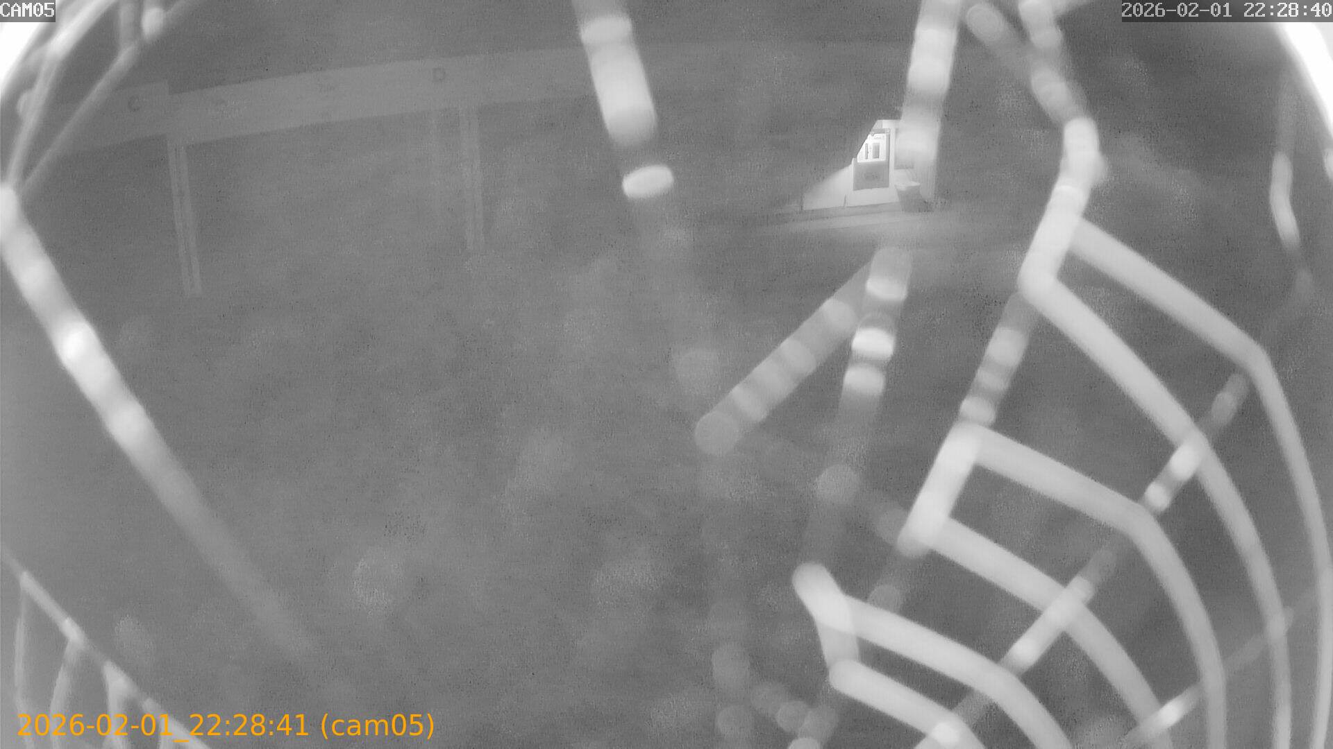 thumbnail_20260201222841