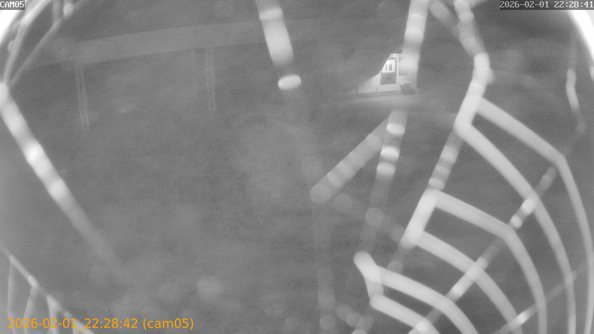 thumbnail_20260201222842