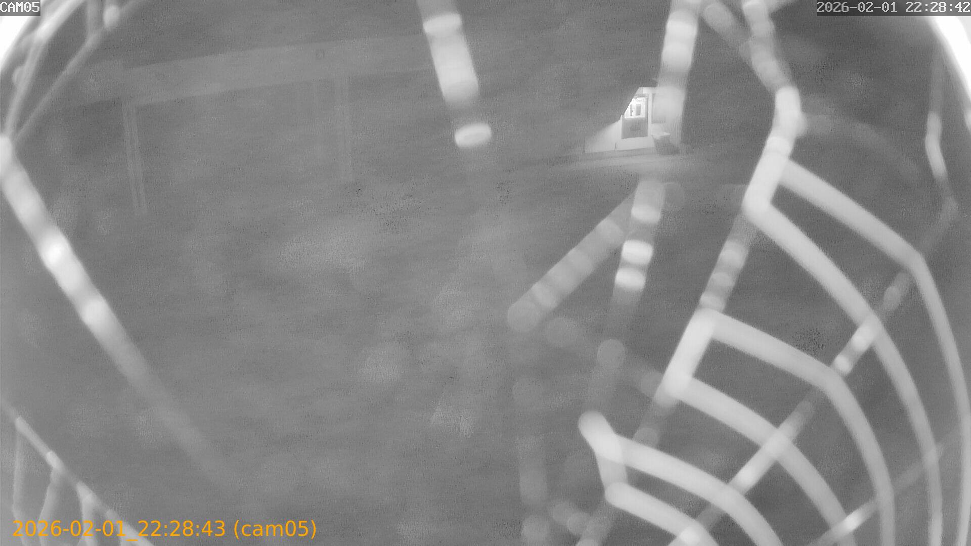 thumbnail_20260201222843