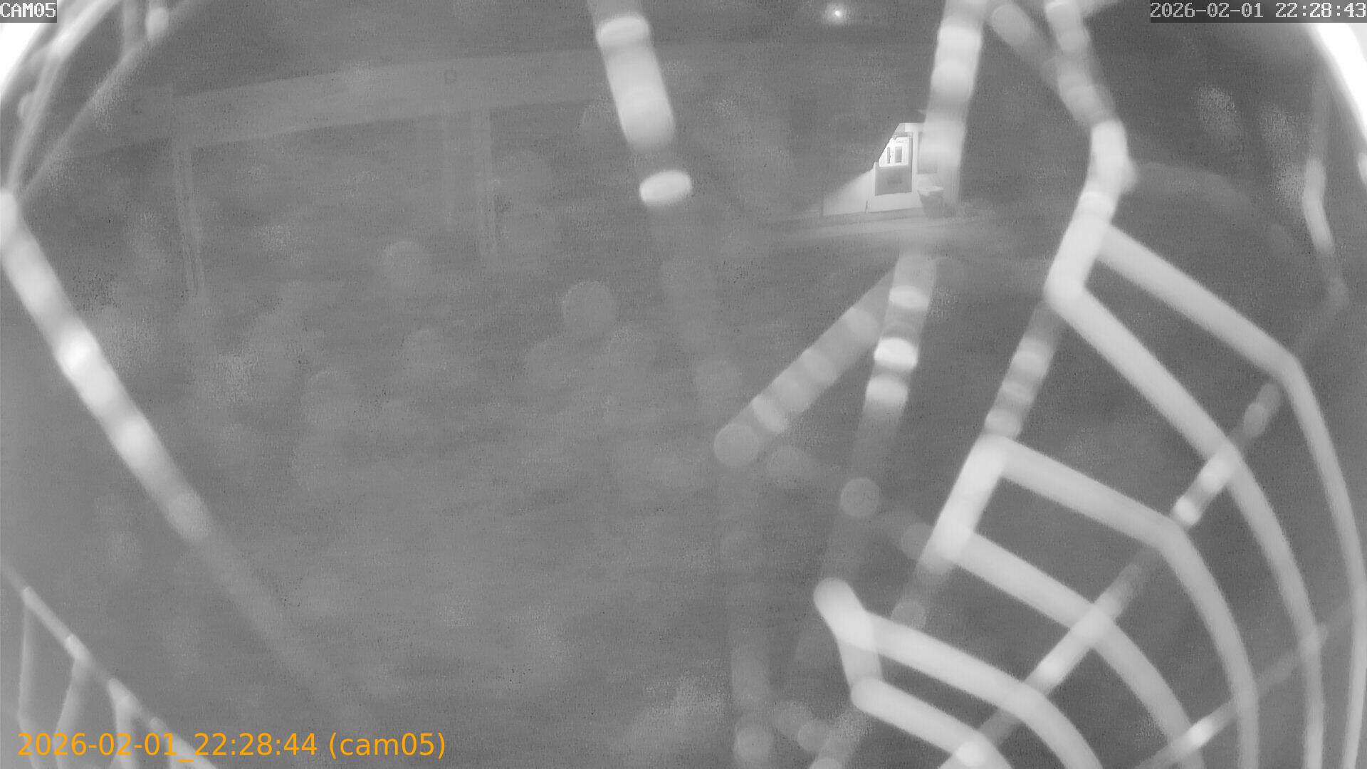 thumbnail_20260201222844