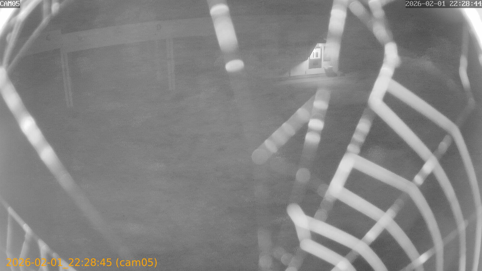 thumbnail_20260201222845