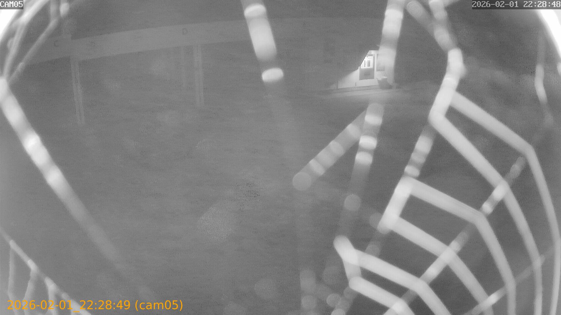 thumbnail_20260201222849