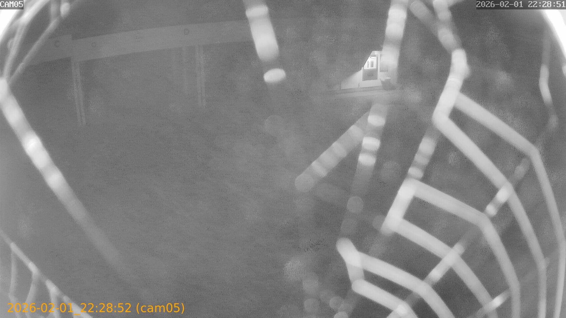 thumbnail_20260201222852