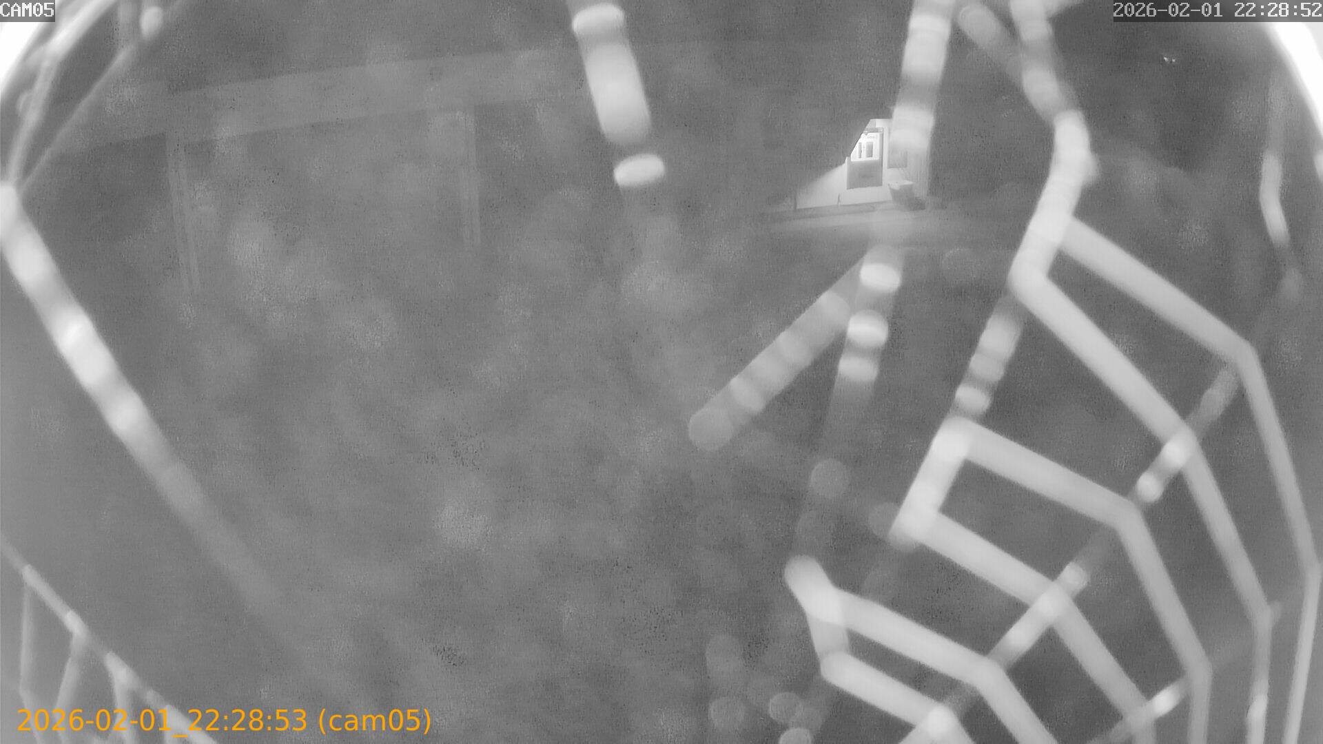 thumbnail_20260201222853