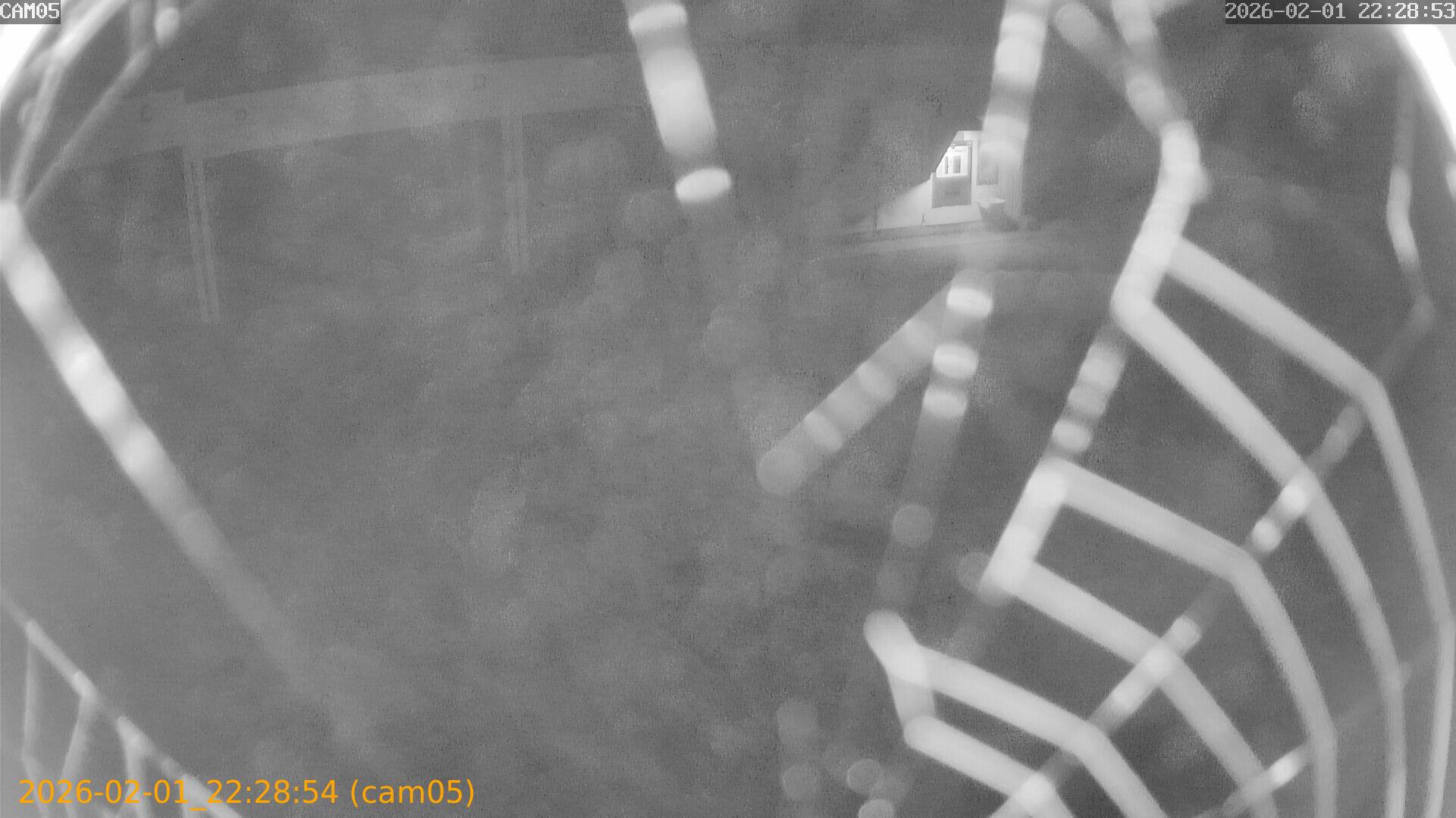 thumbnail_20260201222854