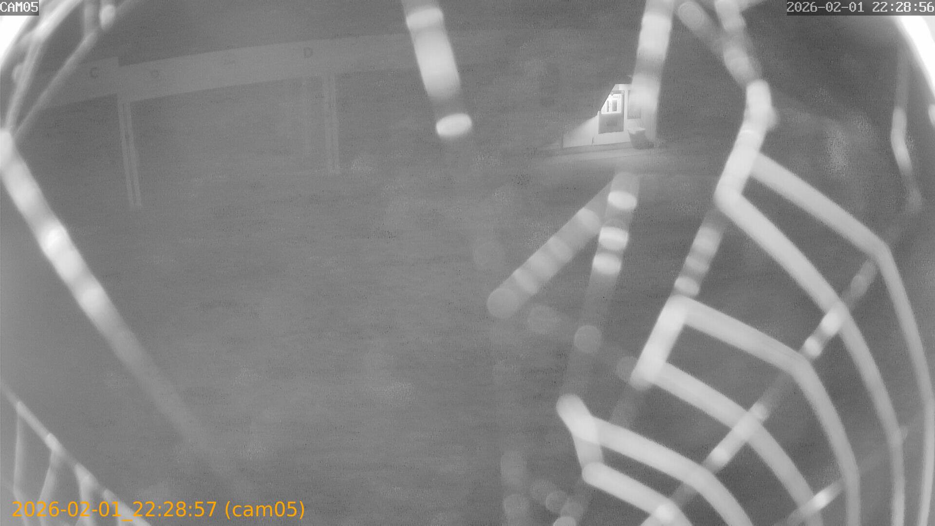 thumbnail_20260201222857