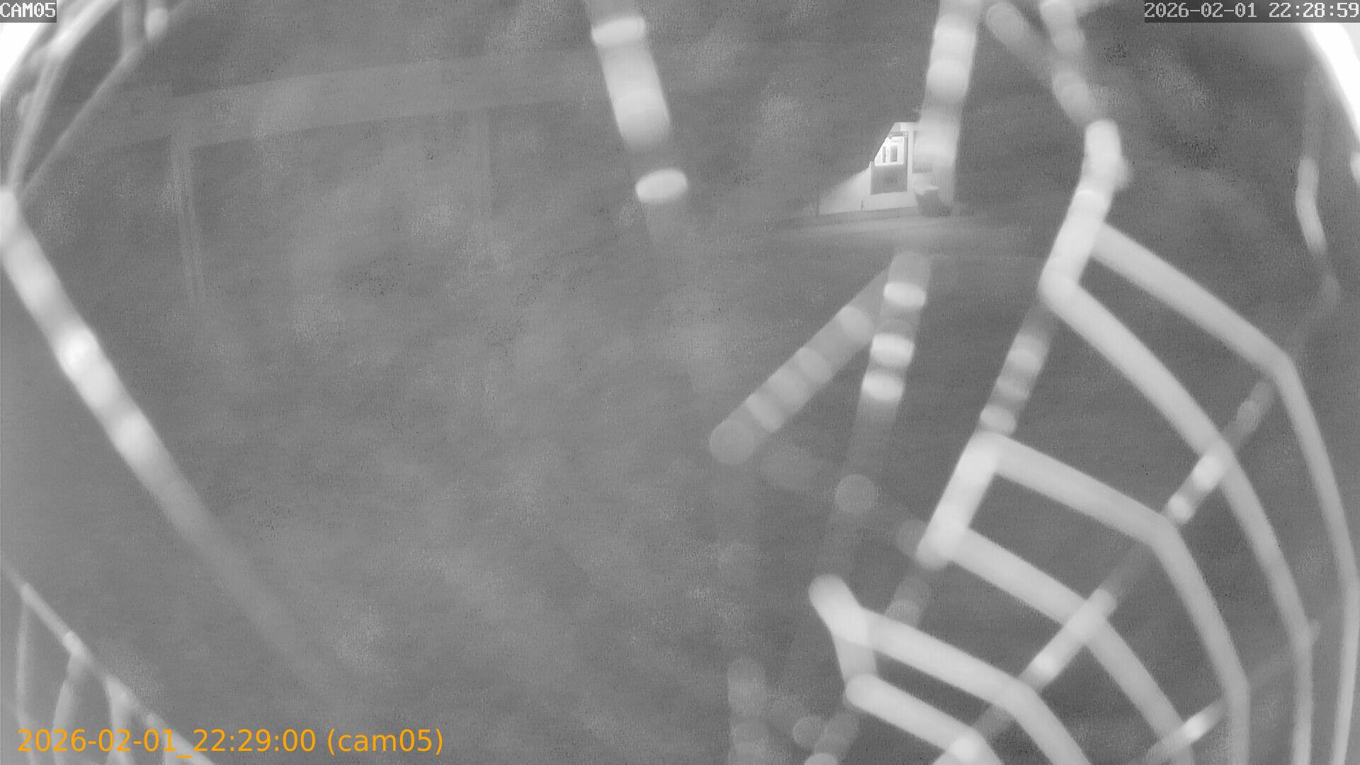 thumbnail_20260201222900