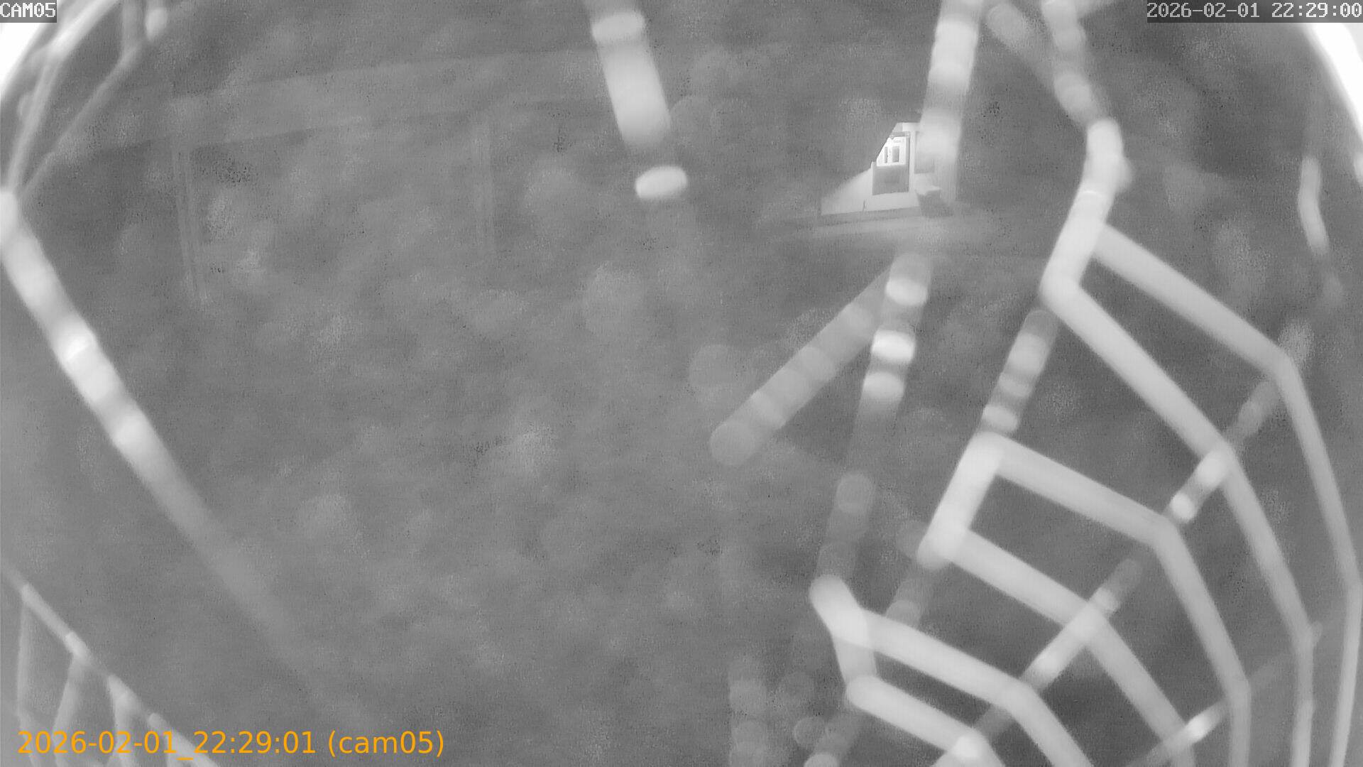 thumbnail_20260201222901