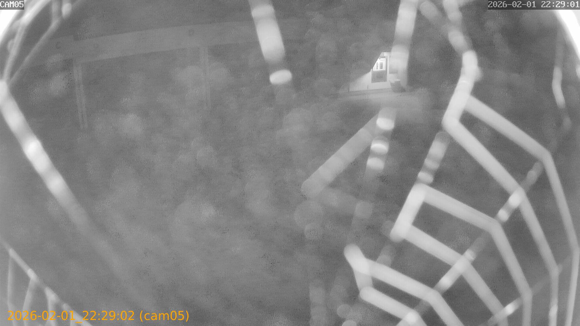 thumbnail_20260201222902